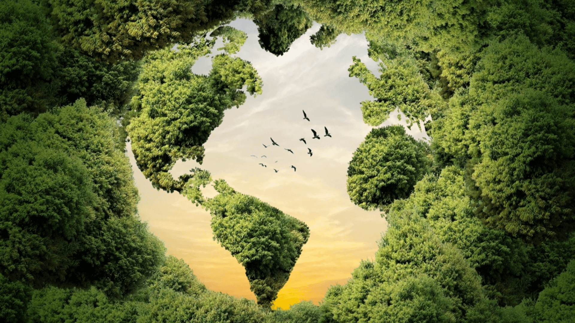 LIFE: Mitigazione e adattamento  al cambiamento climatico 2026
